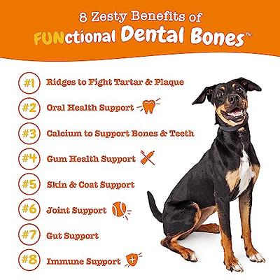 Zesty Paws Dental Bones for Large Dogs - Fights Tartar & Plaque - Gum,  Teeth & Bone Health - Cinnamon for Dog Breath - Immune, Joint, Gut, Skin &  Coat