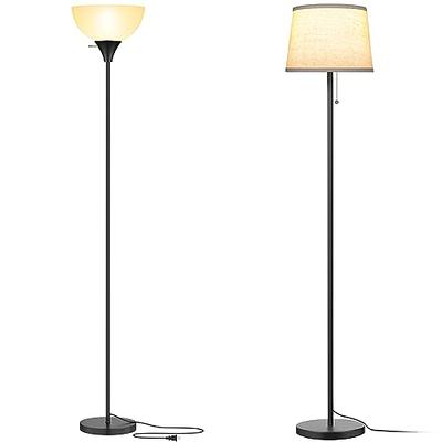 OttLite Standing Floor Lamp with Adjustable Neck, Craft Plus - 24w Compact  Fluorescent Lamp for Bright Natural Daylight - Modern Home Decor, for