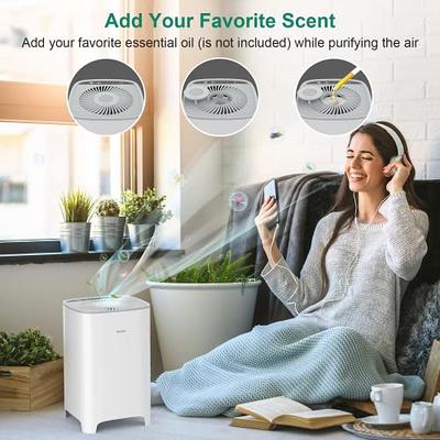 LEVOIT Air Purifier for Home Bedroom, HEPA Air Fresheners Filter, Small  Room Air Cleaner with Fragrance Sponge for Smoke, Allergies, Pet Dander,  Odor, Dust Remover, Office, Desktop, Table Top (2 Pack) 