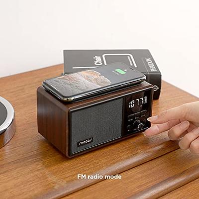  Rysamton Portable AM/FM Radio, Digital Radio Recorder,  Bluetooth 5.0 Radio Speaker, Alarm and Sleep Function, 12/24H Time Display  with Large Digital Display : Electronics