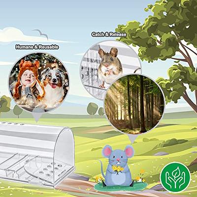 4 Pcs Humane Mouse Traps No Kill, Live Mouse Traps Indoor for Home, Reusable  Mice Small Rat Trap Catcher for House & Outdoors - Yahoo Shopping