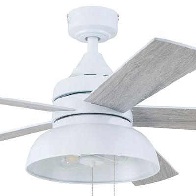 Prominence Home Brightondale 52-in Matte Black LED Indoor/Outdoor Ceiling Fan with Light (5-Blade)