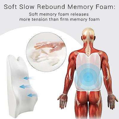 Memory Foam Lumbar Support Pillow for Car - Mid/Lower Back Support