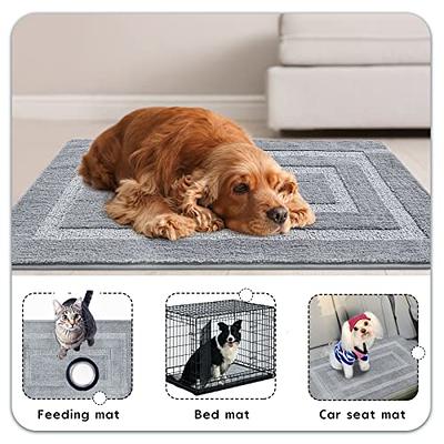 Ompaa Indoor Door Mat, Dog Rugs for Muddy Paws, Mud Mats for Dogs, Super  Absorbent Quick