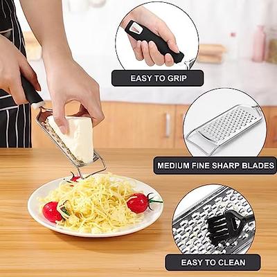 Food Grade Stainless Steel Ginger Grater, Handheld Kitchen Graters