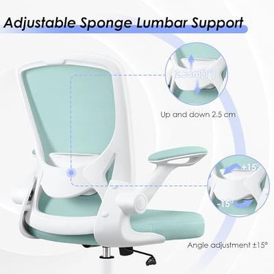 Ergonomic Office Chair, KERDOM Breathable Mesh Desk Chair, Lumbar Support  Computer Chair with Headrest and Flip-up Arms, Swivel Task Chair,  Adjustable Height Gaming Chair 