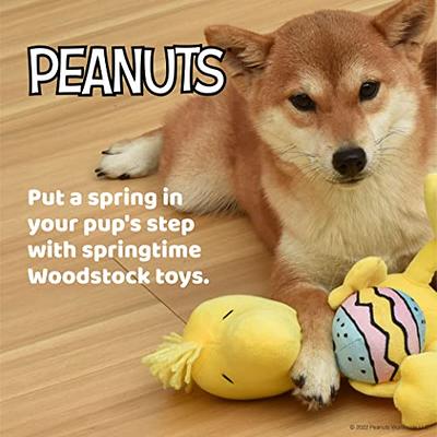 Peanuts for Pets : 9 Woodstock Egg Plush Squeaker Pet Toy