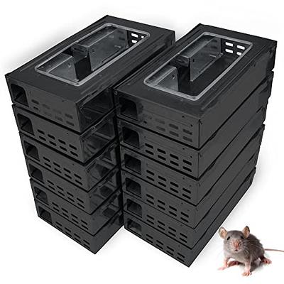 Victor Metal Pedal Indoor and Outdoor Sustainably Sourced FSC Wood Snap Mouse  Trap (4-Count) M156 - The Home Depot