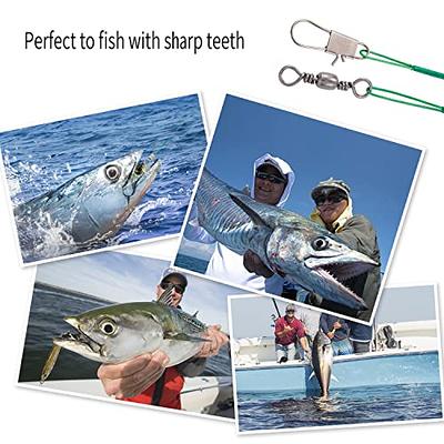 TSV 20 PCS Fishing Leaders Tackle Rigs, High-Strength Fishing Wire,  Stainless Steel Wire Trace Leader, 2 Arm Fishing Rigs with Swivels Snaps  Beads, Fishing Line Tackle for Lures Bait Hooks Saltwater