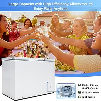 WANAI Chest Freezer 5.0 Cu.Ft Large Deep Freezers Small Chest Freezer  Freestanding Top Open 7 Temp Control Low Noise with Removable Basket for  Dorm