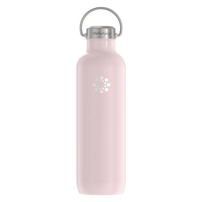 Aoibox 32 oz. Retro Boardwalk Stainless Steel Insulated Water Bottle (Set of 1)