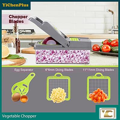 Fullstar Vegetable Chopper - Veggie Chopper - Onion Chopper with Container  - Pro Food Chopper - Slicer Dicer Cutter - (11 in 1, Black)