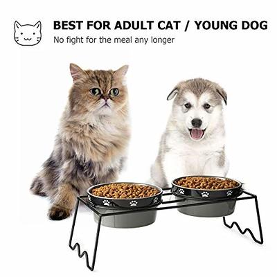 Y YHY Cat Water Bowl,Raised Cat Food Dish,Elevated Cat Bowl No  Spill,Ceramic Pet