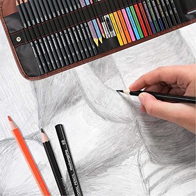 100-Pack Art Supplies for Adults Teens Kids Beginners, Artist Drawing  Supplies Sketching Kit, Drawing Pencils Set with Gift Business Case,  Diverse Art