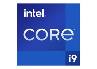 Intel Core i9 (12th Gen) i9-12900 Hexadeca-core (16 Core) 2.40 GHz