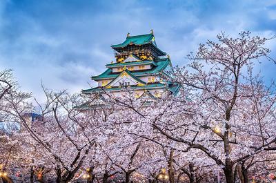 2000 Piece Osaka Castle, Japan Jigsaw Puzzle by Educa Borras 