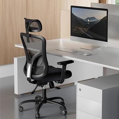 Misolant Ergonomic Office Chair with Footrest, Ergonomic Desk Chair with  Adjustable 2D Lumbar Support, High Back Office Chair with Adjustable