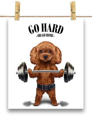 Gorilla Weightlifting in Fitness Gym - Poster Print, Wall Art, Home Decor,  and Postcard - PrintStarTee