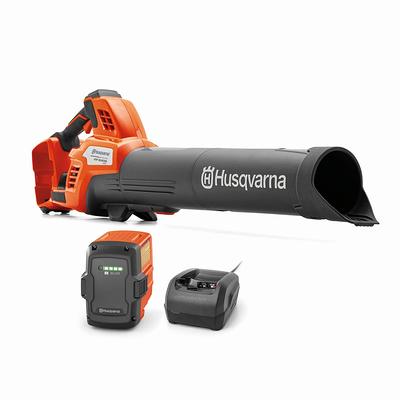 BLACK+DECKER POWERBOOST 20-volt Max 100-CFM 130-MPH Battery Handheld Leaf  Blower 2 Ah (Battery and Charger Included) at