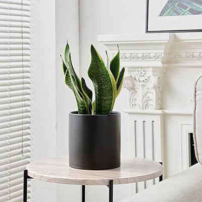 Mozing 2 Pack Ceramic Plant Pots Indoor - Set 4.8 + 6 inch Planter Pot with  Drainage Hole (Black) 