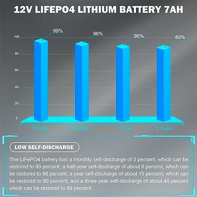 OCELL 12V 6Ah Lithium Iron Phosphate Battery, Rechargeable LiFePo4 Battery  with 10 Years Lifetime, Low Self-Discharge for Kid Scooters, Security