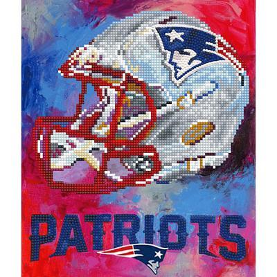 Baltimore RavensDiamond Painting Craft Kit