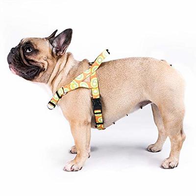 CHEDE No Pull Floral Pattern Dog Harness- Lightweight, Soft, Adjustable  Small Harness and Leash Set, Suitable for Puppy Small and Medium-Sized Dog