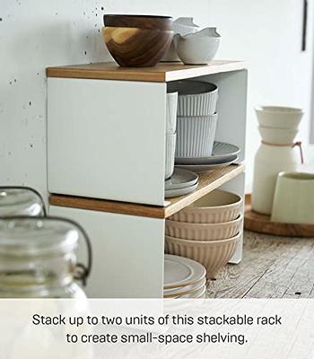 Yamazaki Home Tosca Dish Storage Rack