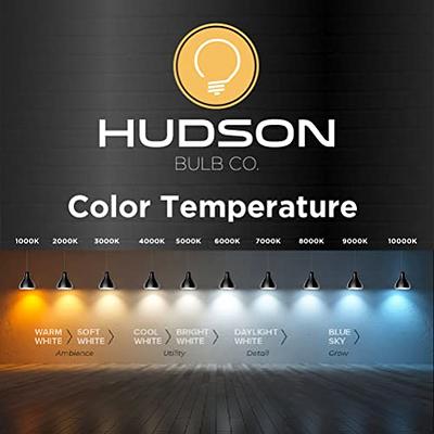 Hudson Vintage Incandescent Edison Light Bulbs 60W (4 Pack)- E26/E27 Base  2100K Dimmable Decorative Lightbulbs - ST64 Style Warm Light-Antique  Squirrel Filament Amber Light Bulb for Outdoor and Indoor - Yahoo Shopping