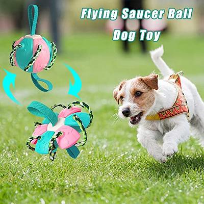 DLDER Blue Indestructible Dog Toys for Aggressive Chewers Flying Discs for  Medium/Large Breeds Dog Training Ring