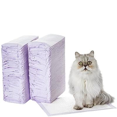 Dandat 15 Pcs 9.65 x 7.28 x 0.98 Inch Small Litter Box for Kittens Plastic  Open