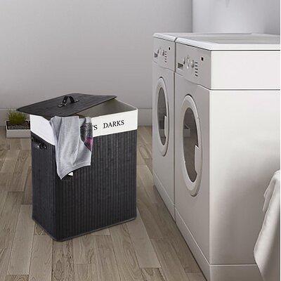 Bathroom Hanging Laundry Hamper Rebrilliant Color: Gray