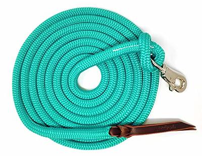 Knotty Girlz 9/16 Double Braid Polyester Yacht Horse Lead Rope Natural  Horsemanship with Option of Loop or Snap 12ft. or 14ft. Lengths (Turquoise,  14 ft. Nickel Trigger Snap) - Yahoo Shopping