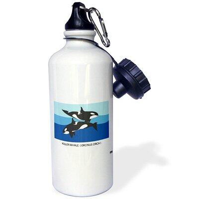 21 oz Stainless Steel Water Bottle 3dRose Theme: Two Killer Whales Orcinus  Orca with Caption - Yahoo Shopping