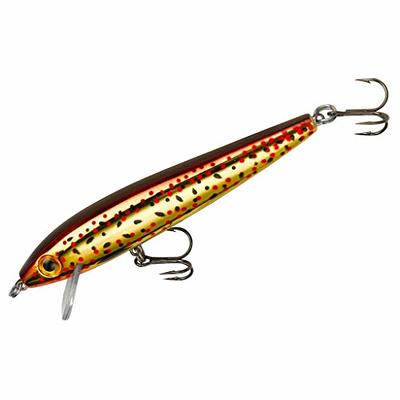Rebel Lures Tracdown Minnow Slow-Sinking Crankbait Fishing Lure - Great for  Bass, Trout and Walleye, Slick Brown Trout, 3 1/2 in, 3/8 oz (TD10494) -  Yahoo Shopping