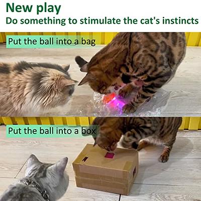 TIESOME Rainbow Cat Toy Balls, 20PCS Soft Cat Ball Colorful Cat Pom Pom  Balls Kitten Puff Balls Indoor Cats Interactive Play Ball Pet Training Ball