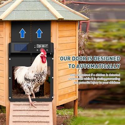 Automatic Chicken Coop Door Solar Powered Chicken Coop Door Opener with  Timer & Light Sensor Multi-Modes Poultry Opener