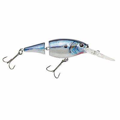 Berkley Flicker Shad Shallow Fishing Lure, HD Blacknose Dace, 1/6