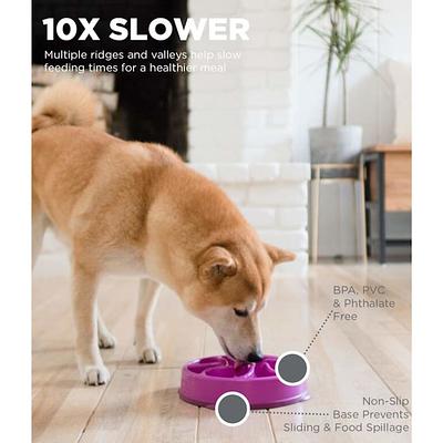 Feedoo Slow Feeder Dog Bowls 3 Cups Large, Food Grade 304