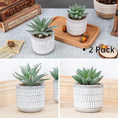 Der Rose 2 Packs Small Fake Plants Mini Artificial Potted Plants for Table  Desk Home Bathroom Office Decor
