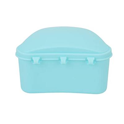 Denture Storage Boxes