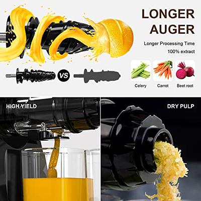 250W Juice Extractor