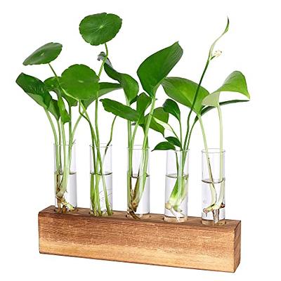 2 Tiered Test Tube Vases Hydroponic Plant Propagator Glass Plant