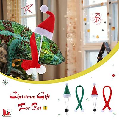 Bearded Dragon Lizards Reptile Hat+Scarf Accessories Toys Christmas Santa  Outfit