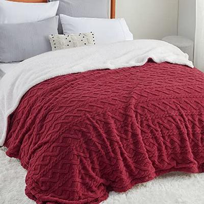 Bedsure Sherpa Queen Size Blanket for Bed - Fuzzy Soft Cozy Blanket Queen  Size, Fleece Thick Warm Blanket for Winter, Red, 90x90 Inches - Yahoo  Shopping