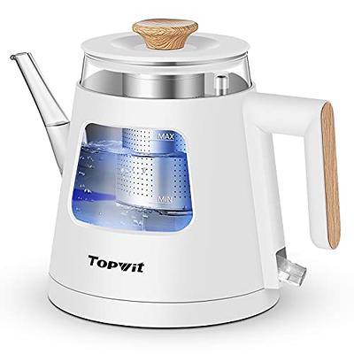 Topwit Electric Kettle, 1.0L Electric Tea Kettle with Removable Stainless  Steel Infuser, BPA-Free Electric Glass Kettle with Window, Double Wall  Water Warmer, Gooseneck Kettle, Auto-shut Off, Black - Yahoo Shopping