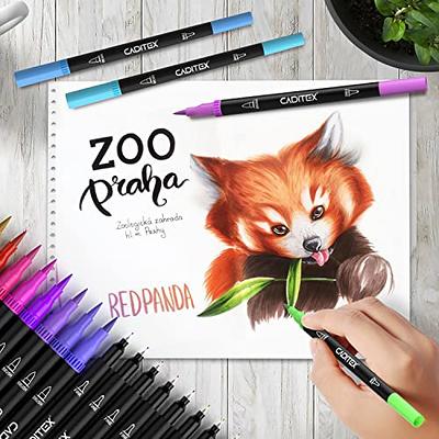 Eglyenlky Markers for Adult Coloring, 100 colors Dual Brush Pens Art  Coloring Pens with Fine Tip and Brush Tip for Adult Kids Drawing Lettering