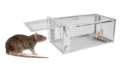 iMounTEK Humane Animal Live Cage Rat Cage Trap with 2 Doors for Mice, Rat Trap Cage with 2 Detachable U Shaped Rod for Hamsters Chipmunks rodents