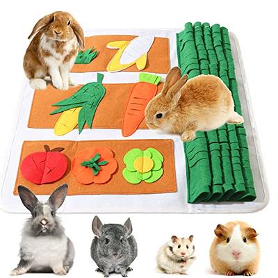 Rabbit Foraging Mat, Guinea Pigs Toys for Boredom, MWAOWM 12 x 12 Polar  Fleece Snuffle Feeding Mat Small Pet Puzzle Toy Bed for Bunny Hamster  Chinchillas Ferrets - Yahoo Shopping