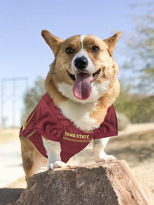 Iowa State Cyclones Pink Pet Jersey